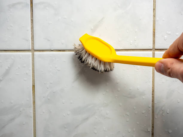 Best Emergency Mold Removal  in On Top Of The World Designated Place, FL